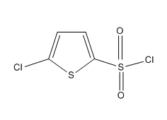 5-氯-2-噻吩磺酰氯